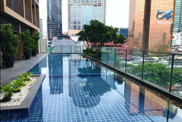 Serene infinity pool with city views, surrounded by lush greenery and lounge seating