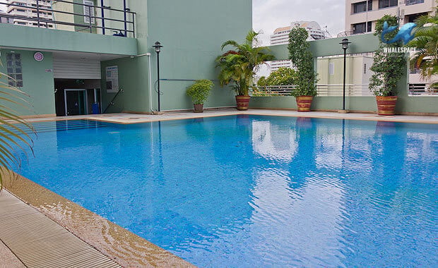 Outdoor swimming pool featuring a bright blue surface and surrounding light green walls, bordered by potted palm plants.
