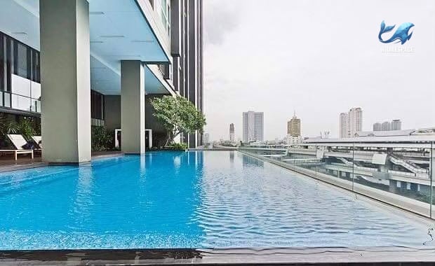 Expansive swimming pool with a city skyline view and lounge chairs on the deck