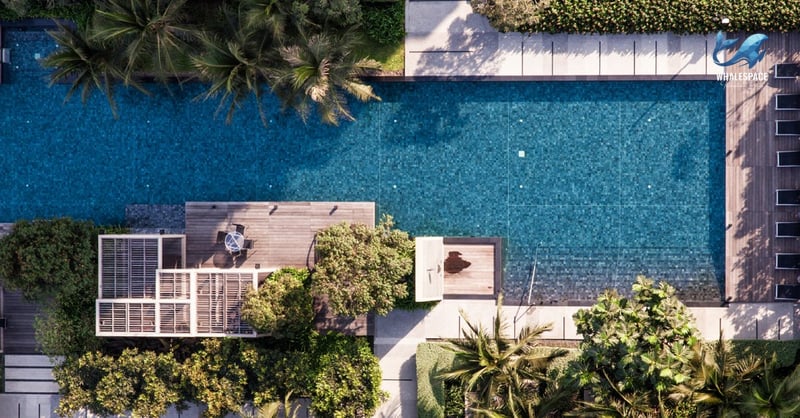 Aerial view of a vibrant blue swimming pool with wooden deck and lounge chairs.