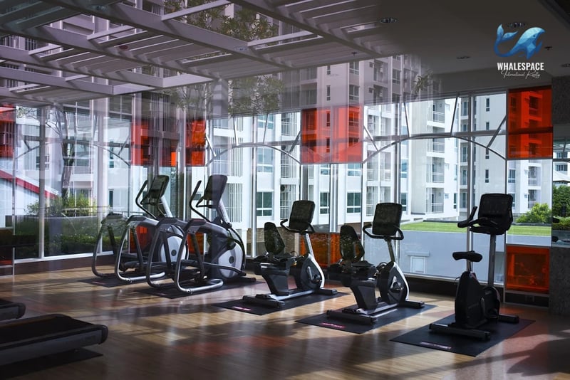 Modern fitness center equipped with cardio machines and large windows offering views of the surrounding buildings