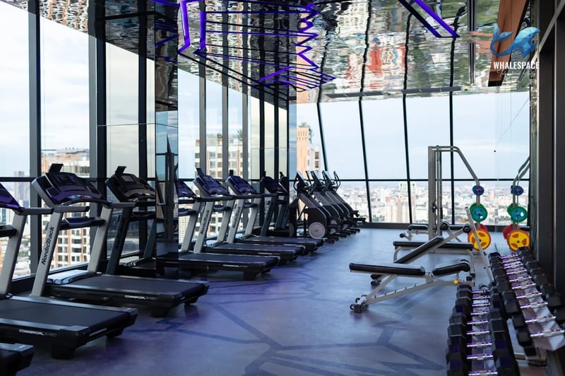 State-of-the-art fitness center with treadmills, weight machines, and free weights, boasting panoramic city views.