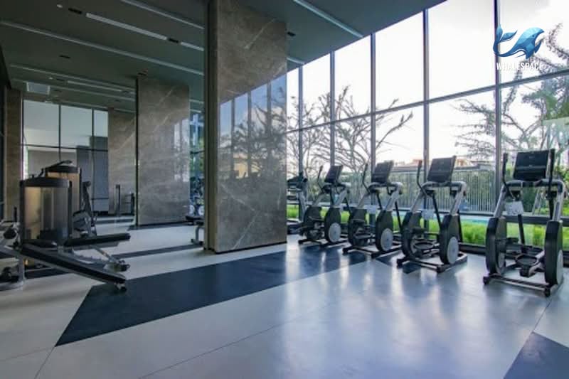 Modern fitness center with a variety of cardio and weight machines, brightened by expansive floor-to-ceiling windows.