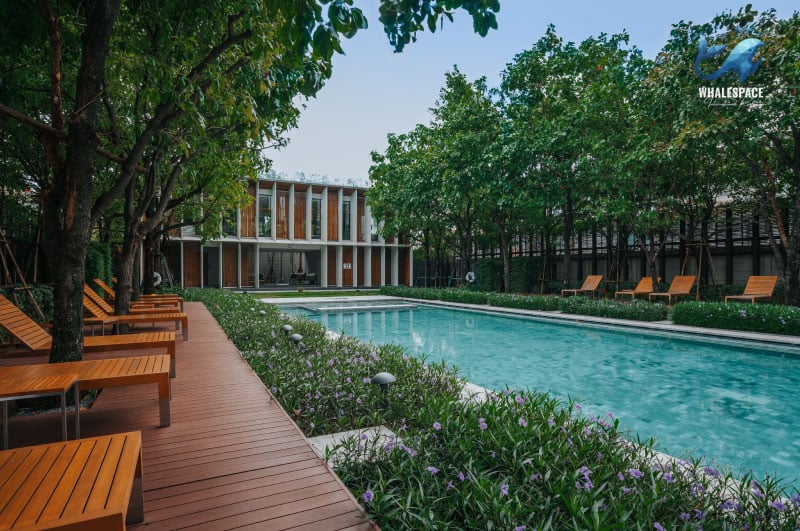 Bright Wongwian Yai photo 2
