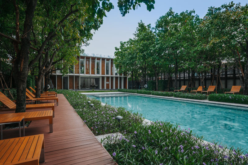 Bright Wongwian Yai