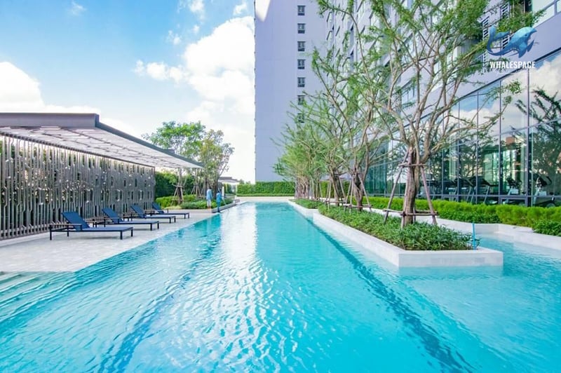 Long outdoor swimming pool with clear blue water, surrounded by lush trees and sun loungers under a pergola.