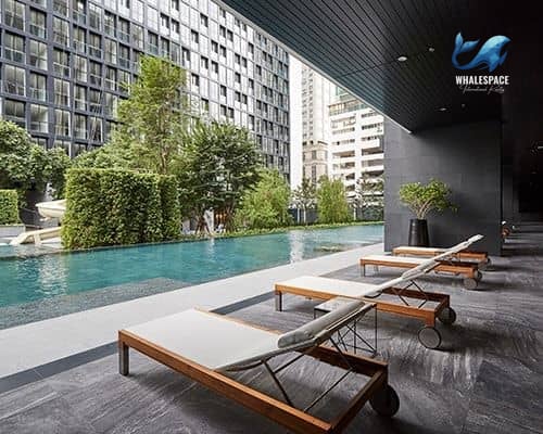 An outdoor swimming pool with lounge chairs and lush greenery, set against a backdrop of modern high-rise buildings.