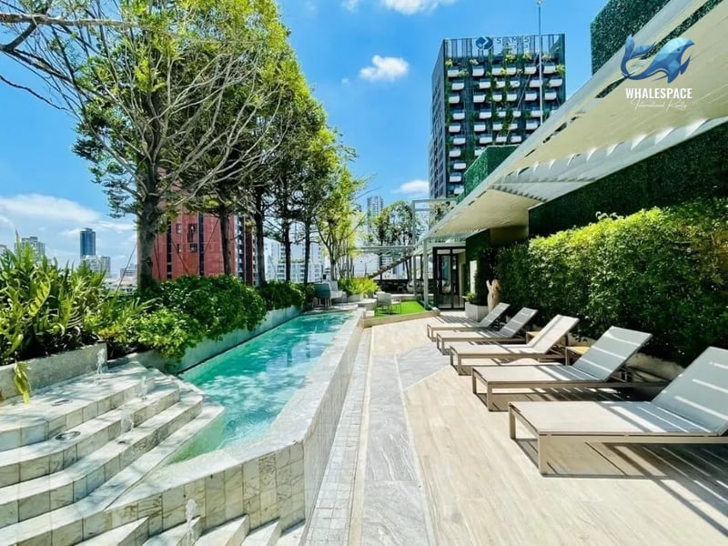 Walden Asoke photo 3