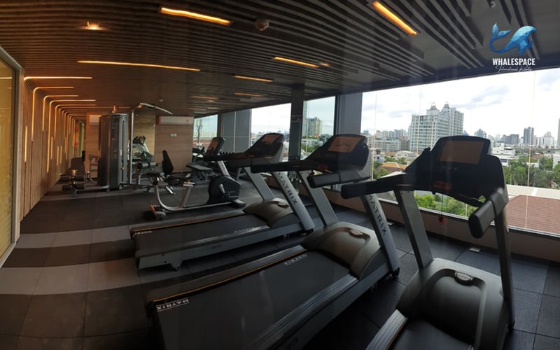 Modern fitness center with treadmills and exercise equipment, offering city views