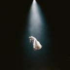 twilight zone's Image