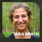 Tara Brach's Image