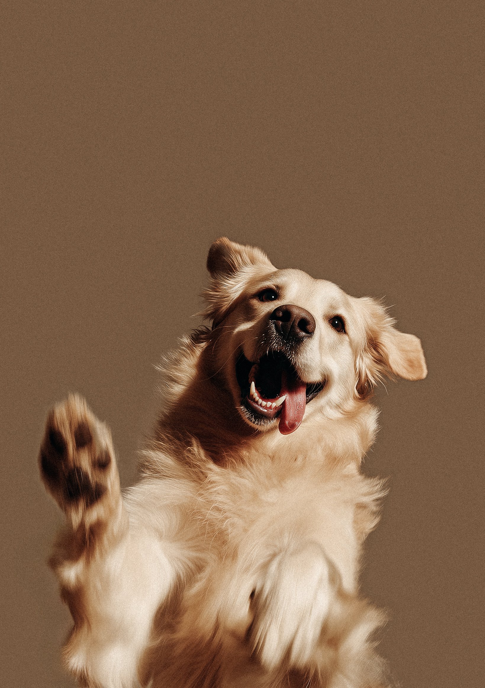 Excited