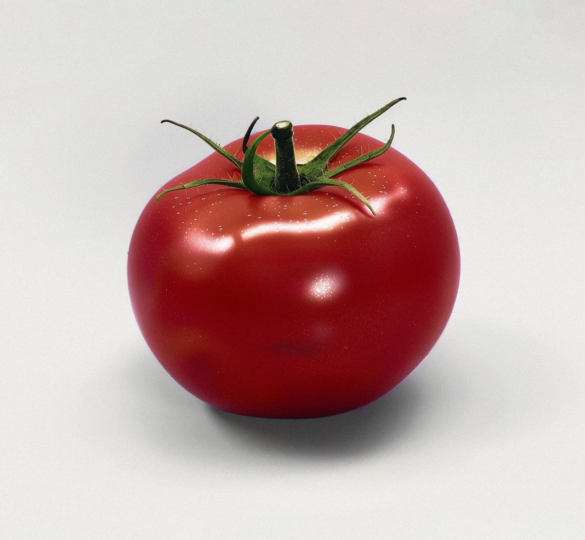 Tomato