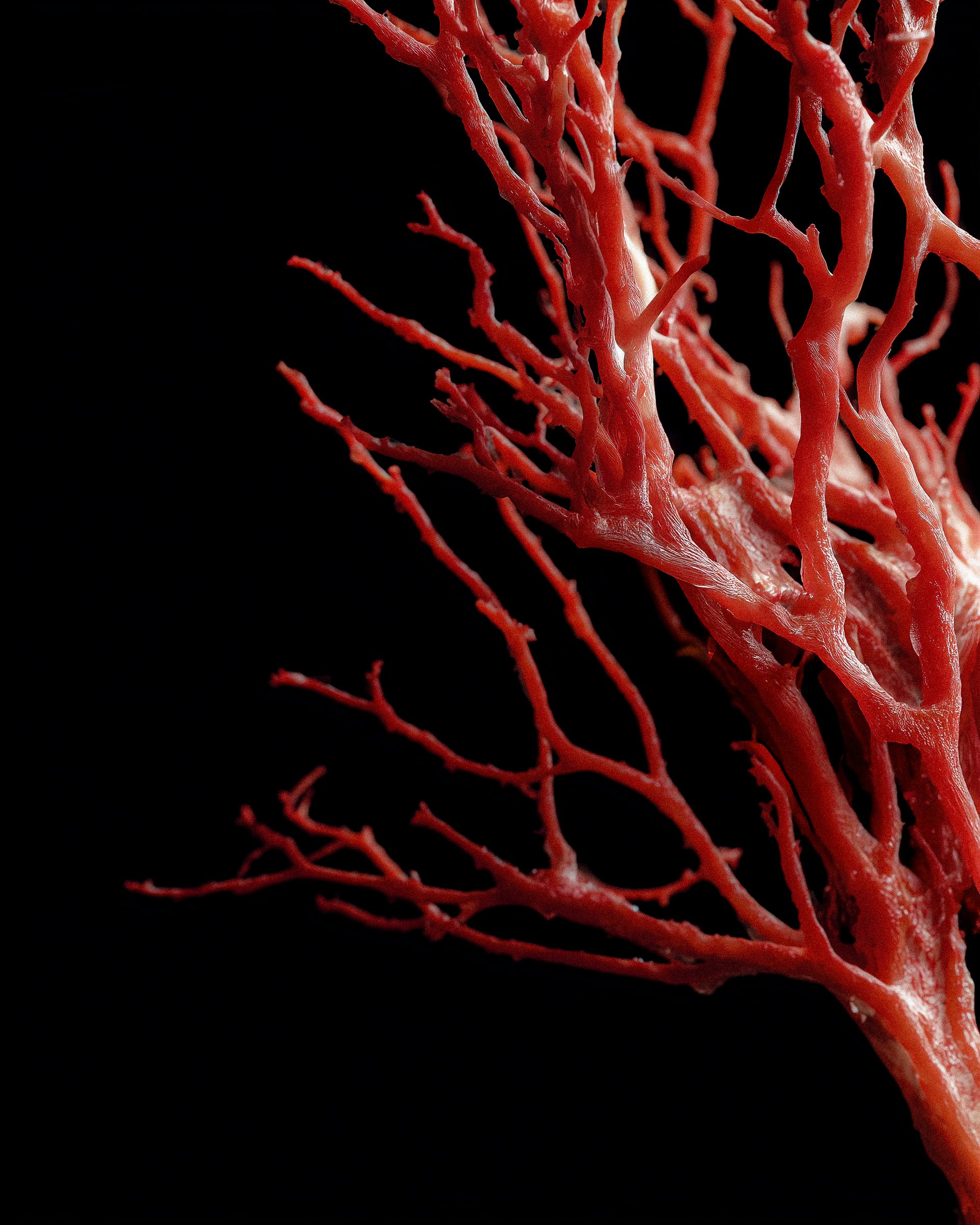 Precariously growing