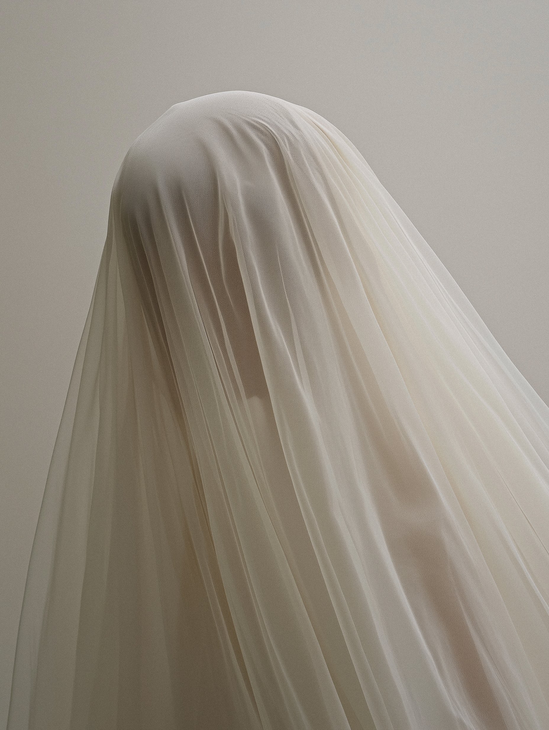 시어 베일 실루엣