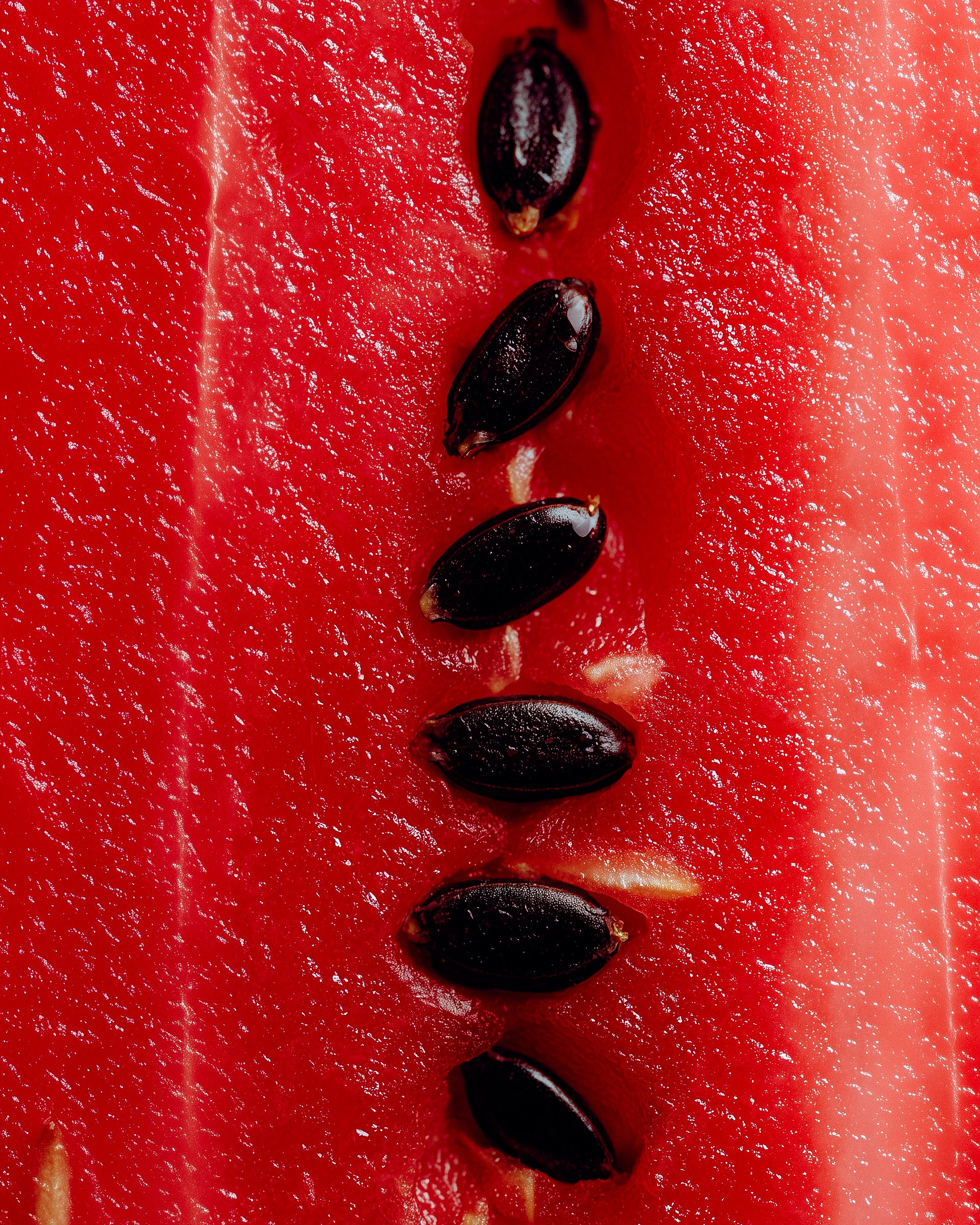 Picnic of watermelon seeds
