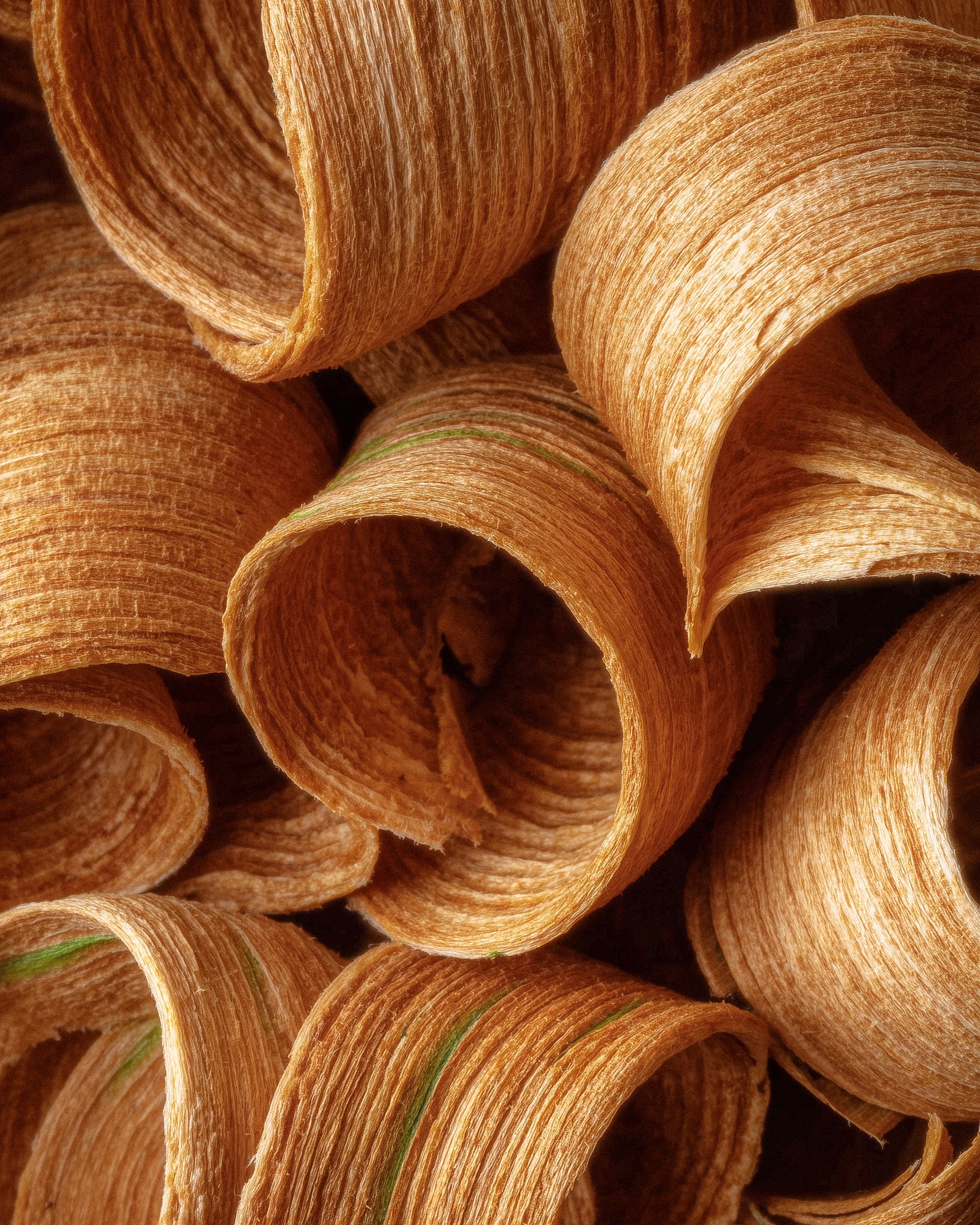 Sawdust