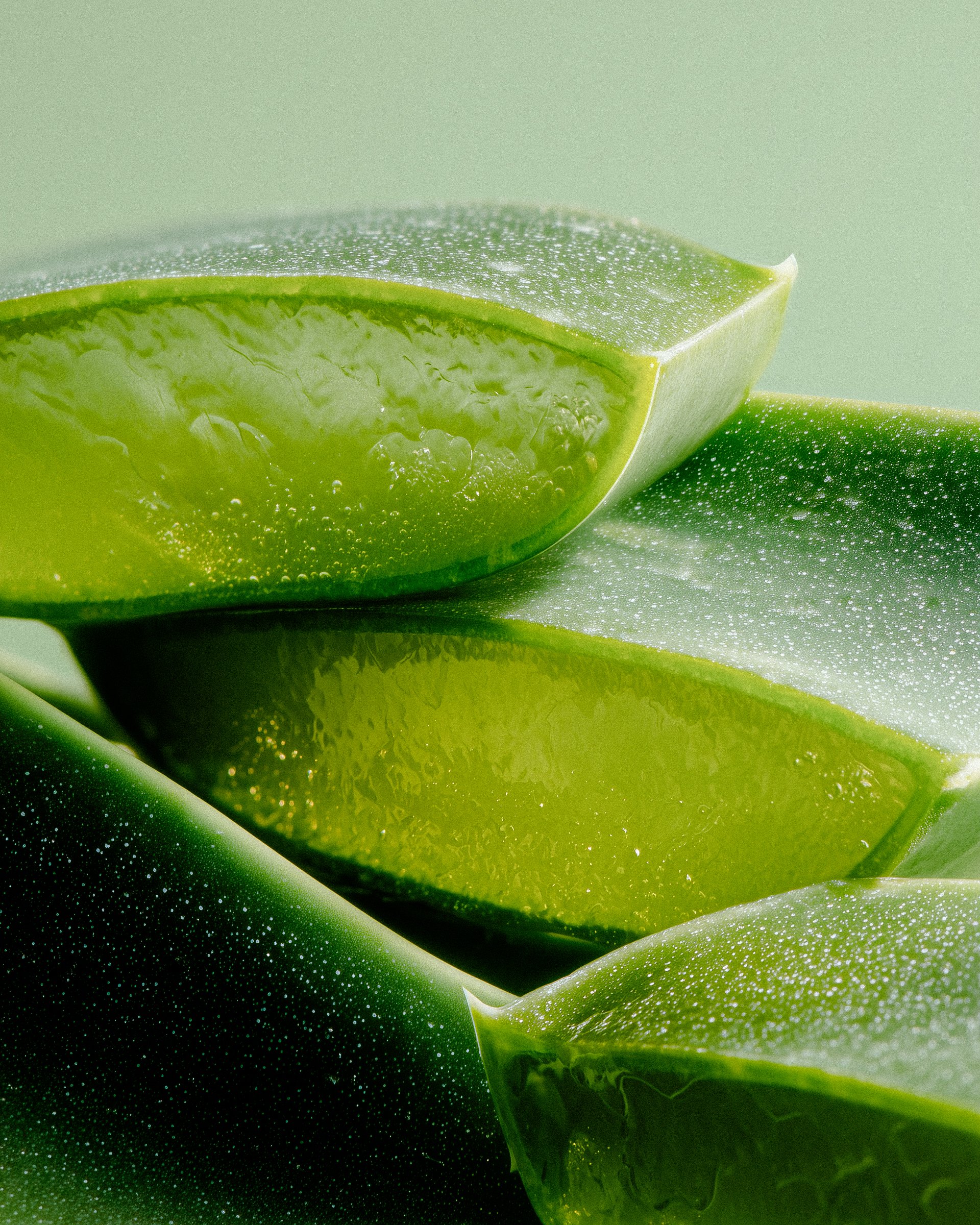 Aloe
