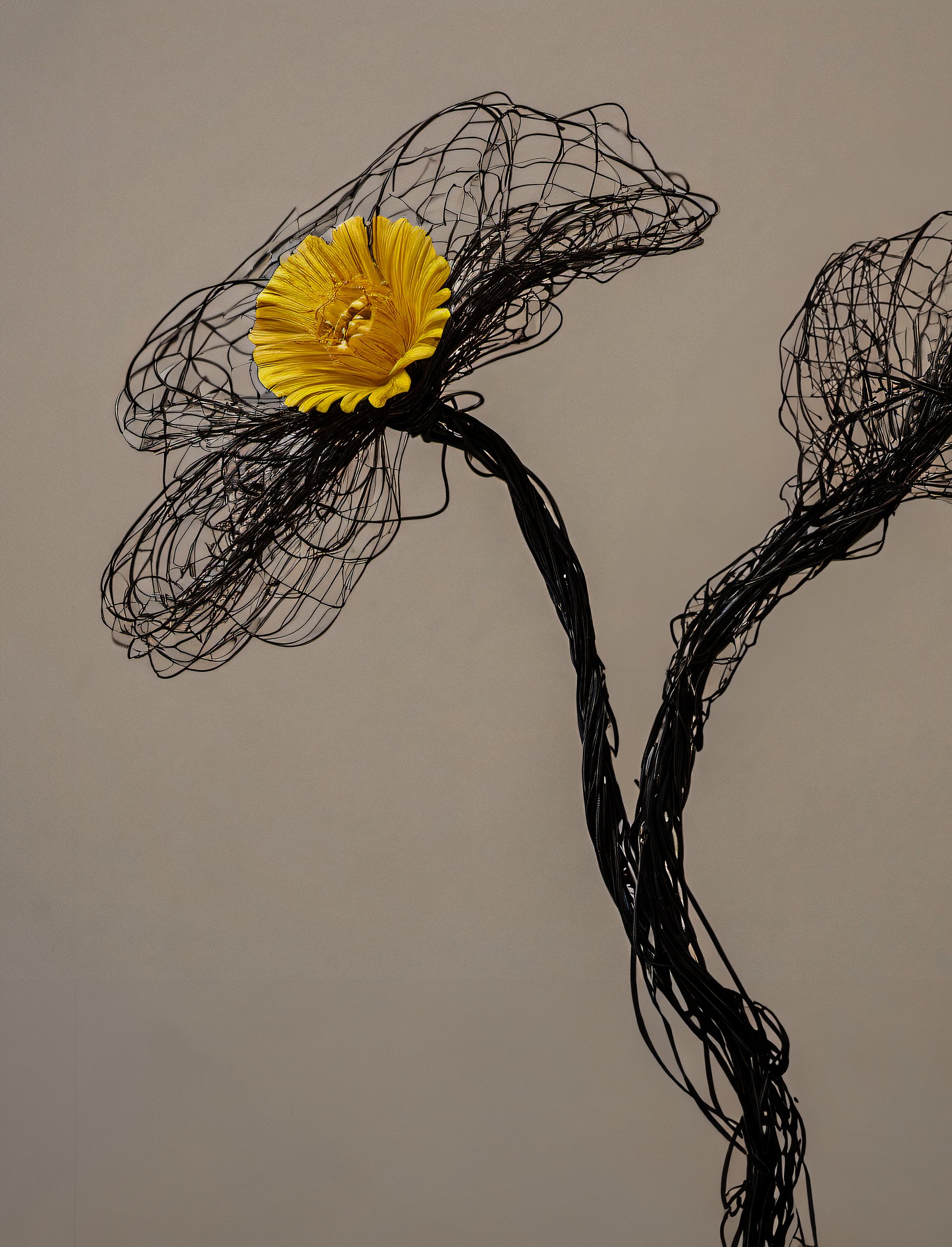 yellow wire flower