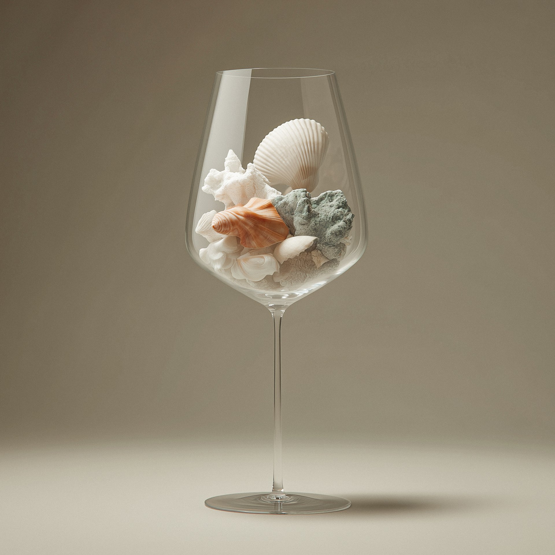 Shells inside wine glass