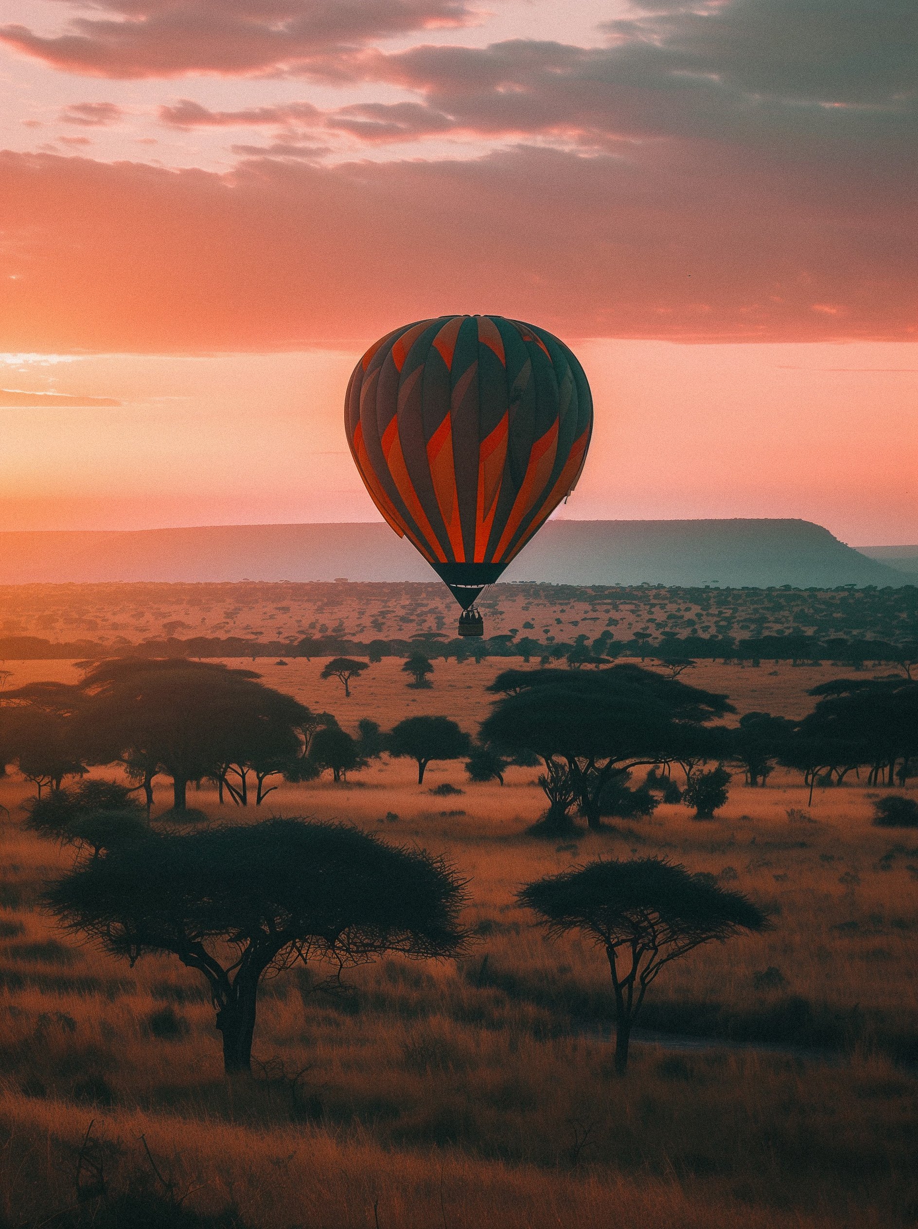 air balloon going up in the Serengeti