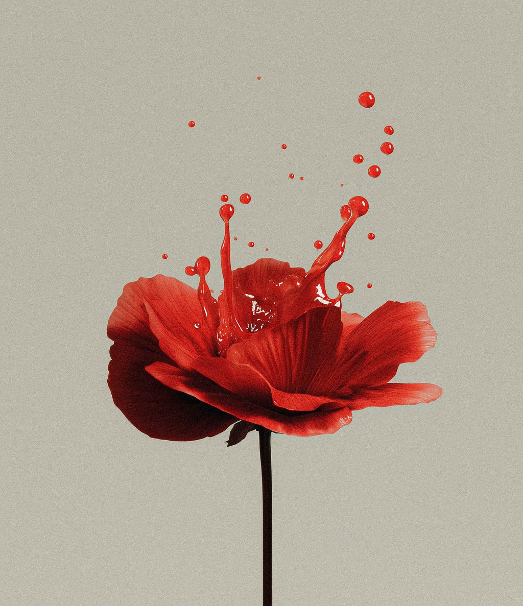 Dye flower — Vibrant red flower with red liquid splashi… | Oksuro