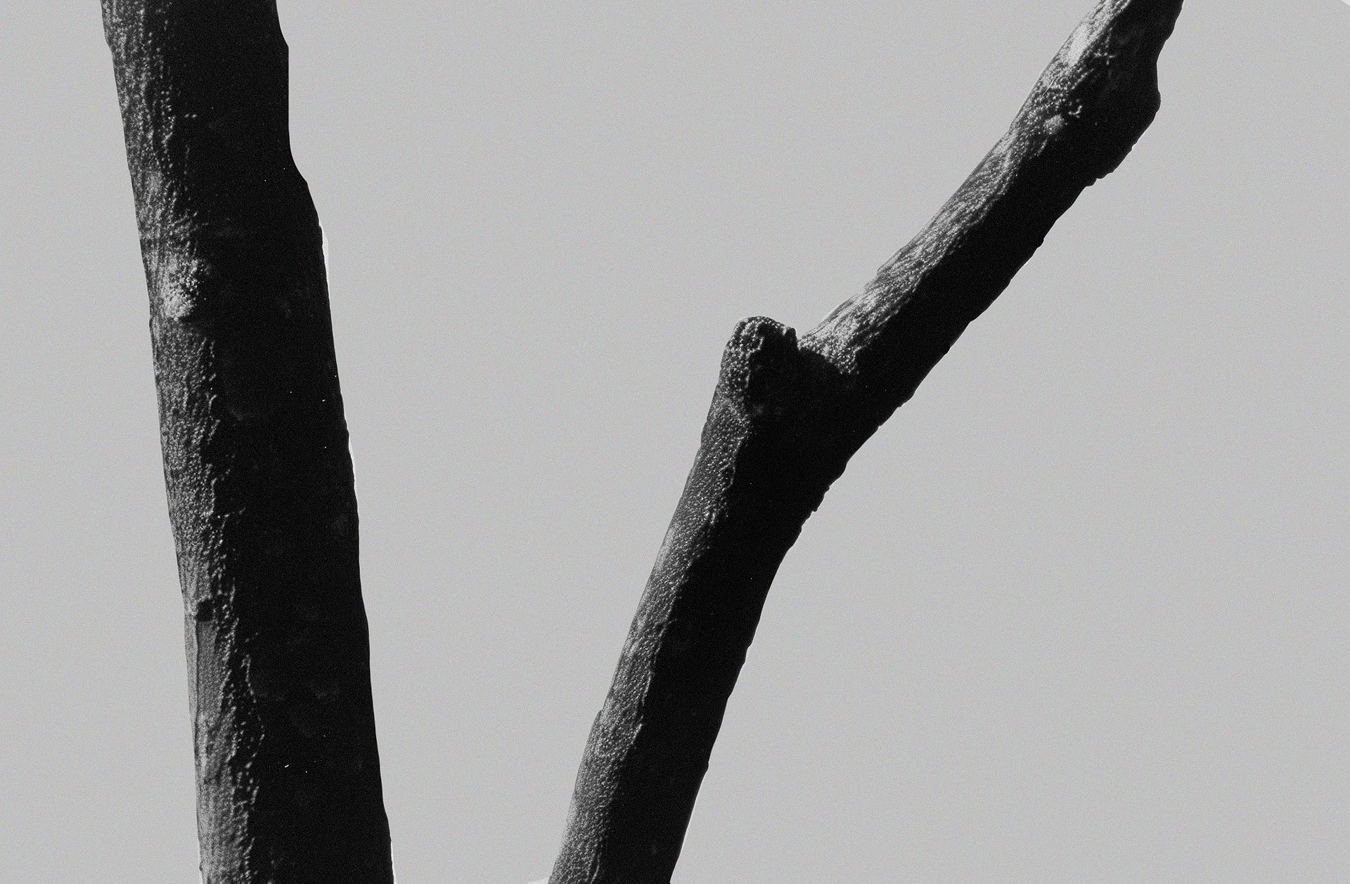 Crecimiento detenido