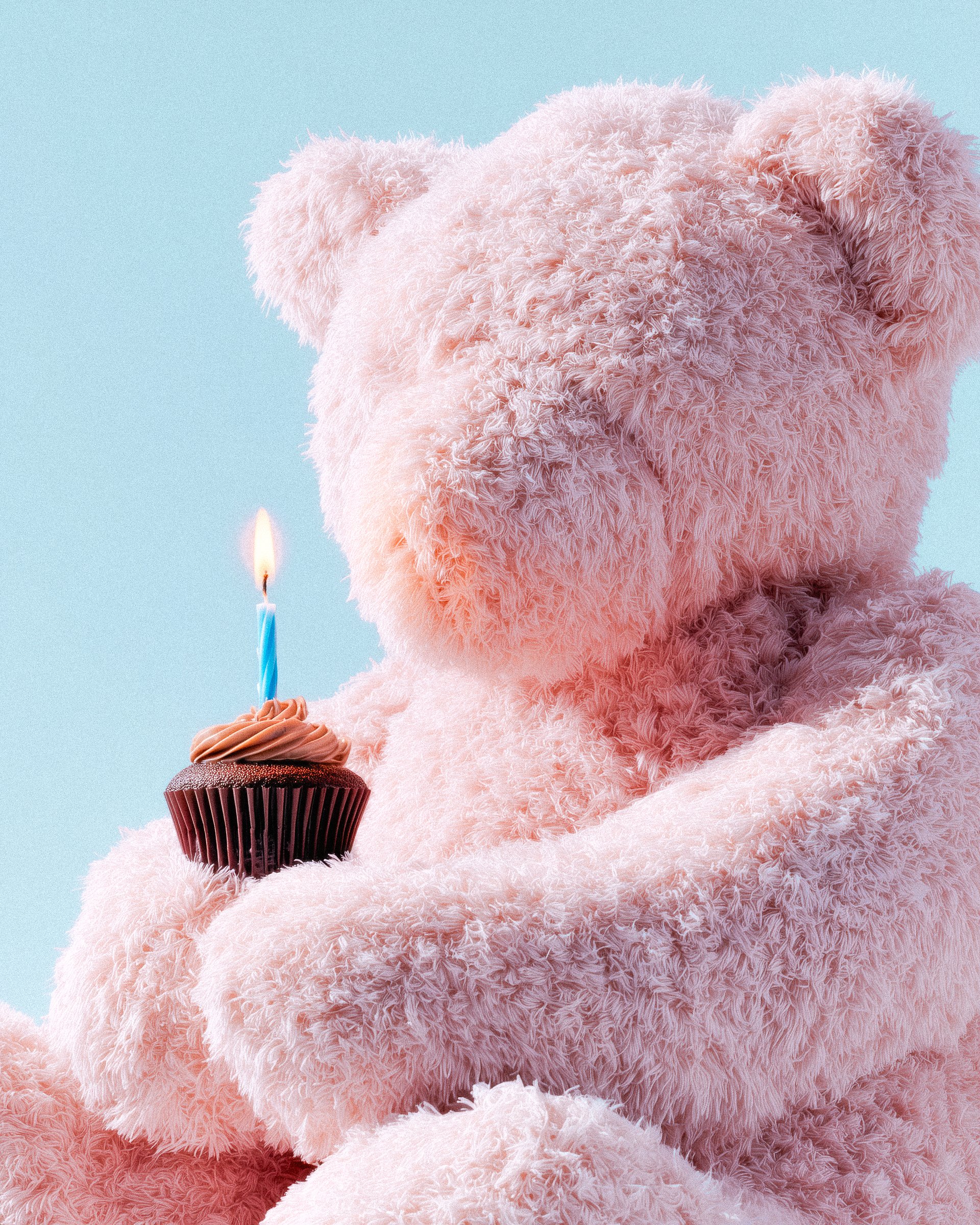 Teddy Bear Birthday Cupcake