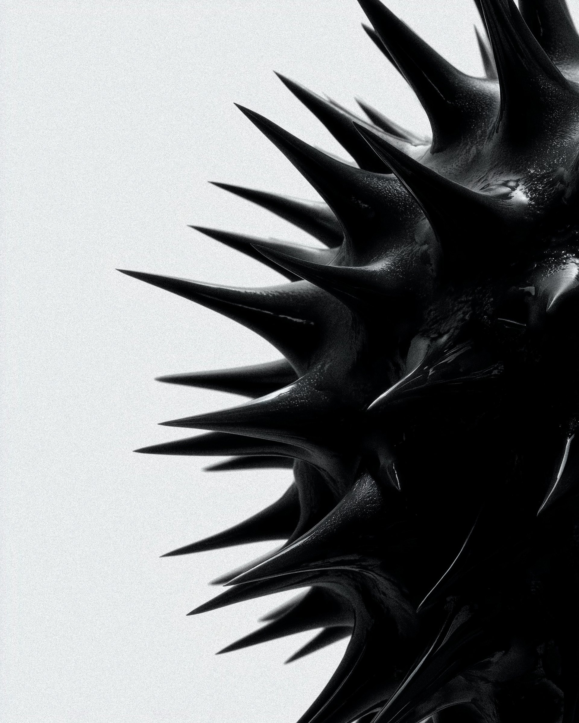 Directions of desires