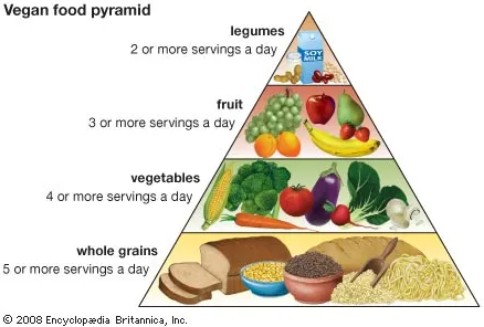 Vegan food pyramid