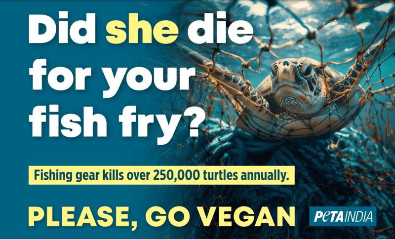 PETA's Ocean Day Billboard for Bhubaneswar
