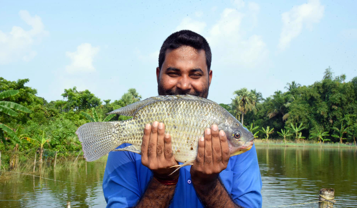Odisha's Flourishing Fish Farming | Mycitylinks