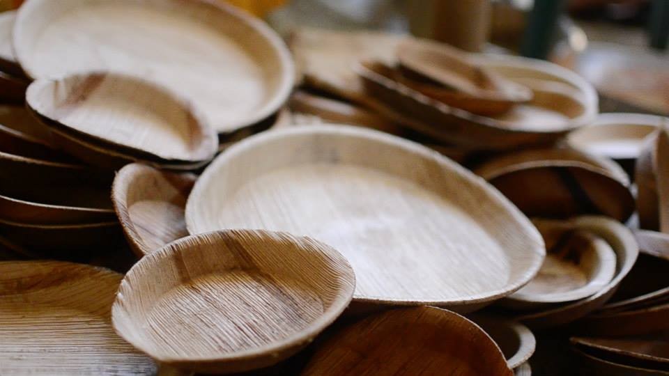Areca Leaf Plates