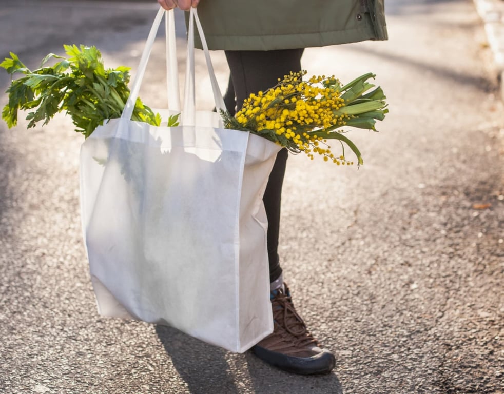 Reusable Cloth Bags