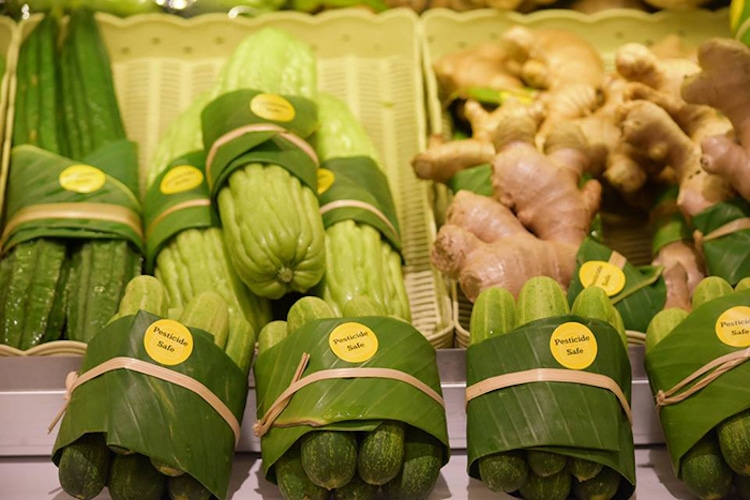 Banana leaf alternative to plastic