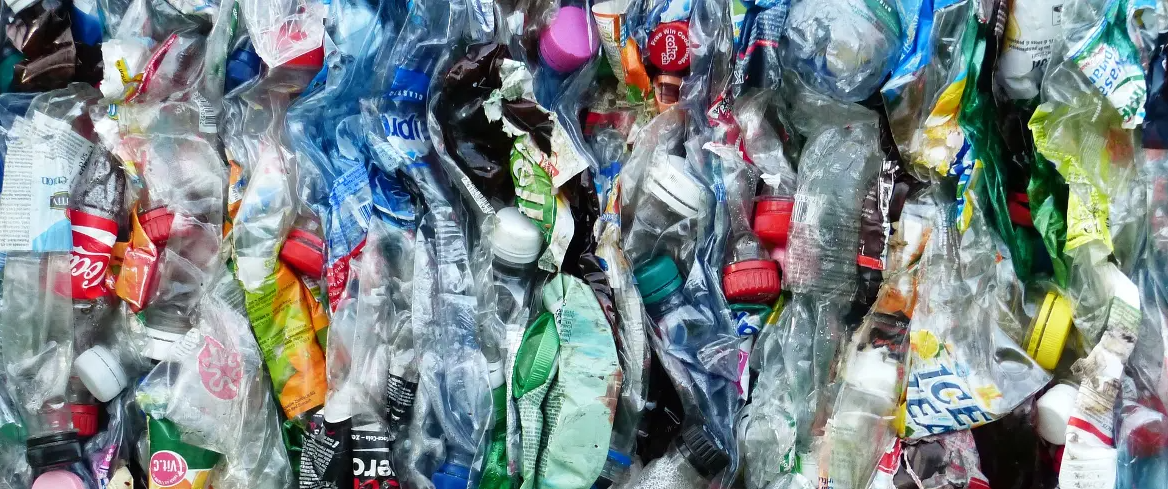 Plastic Bottles