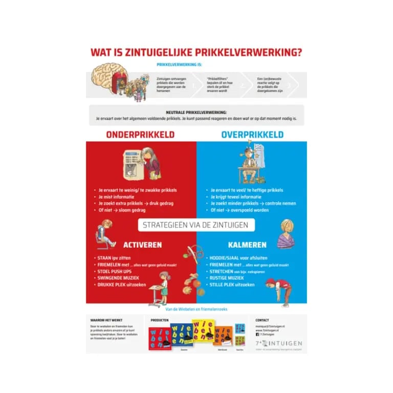 Poster | Wat is Zintuigelijke Prikkelverwerking?