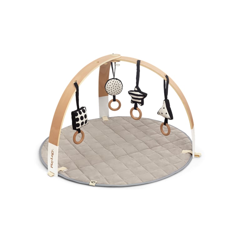 PlayLogy Play Gym With Pendants and Playmat - Montessori Product
