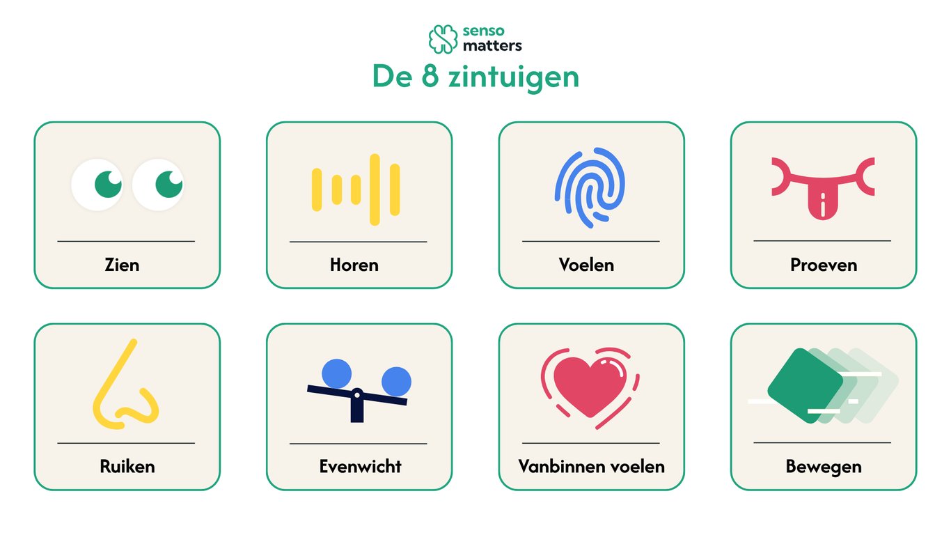 8 zintuigen