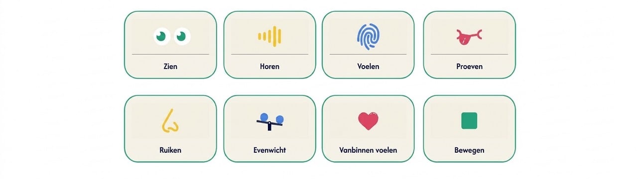 Zintuiglijke Prikkelverwerking