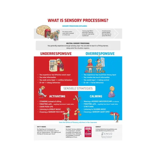 Poster | What is Sensory Processing?