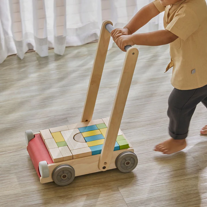Push walker