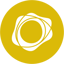 PAX Gold icon