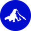 Invesco Short Duration US Government Securities Fund icon