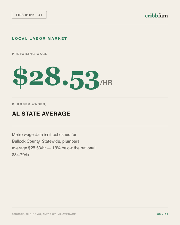 Bathroom Remodel in Bullock County, AL — local labor market data