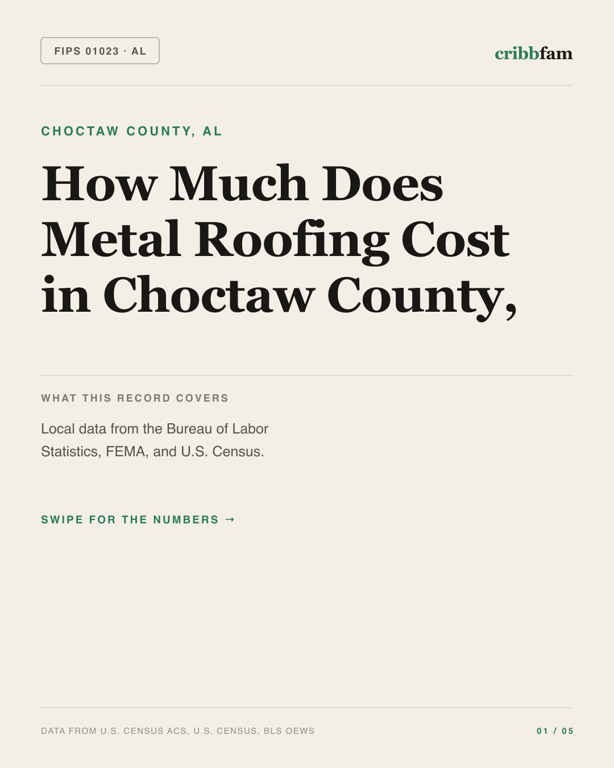 Metal Roofing in Choctaw County, AL — regional cost snapshot