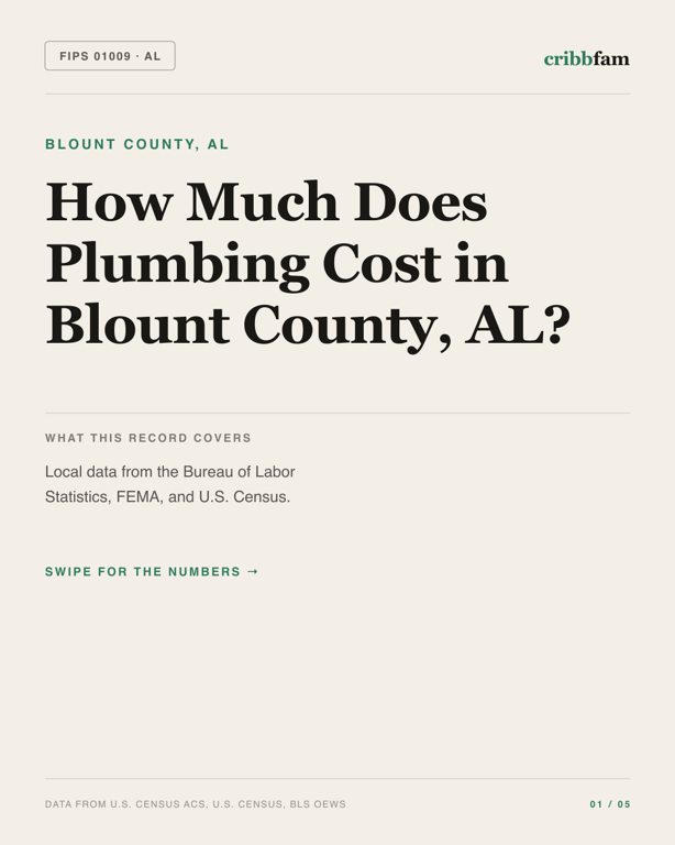 Plumbing in Blount County, AL — regional cost snapshot