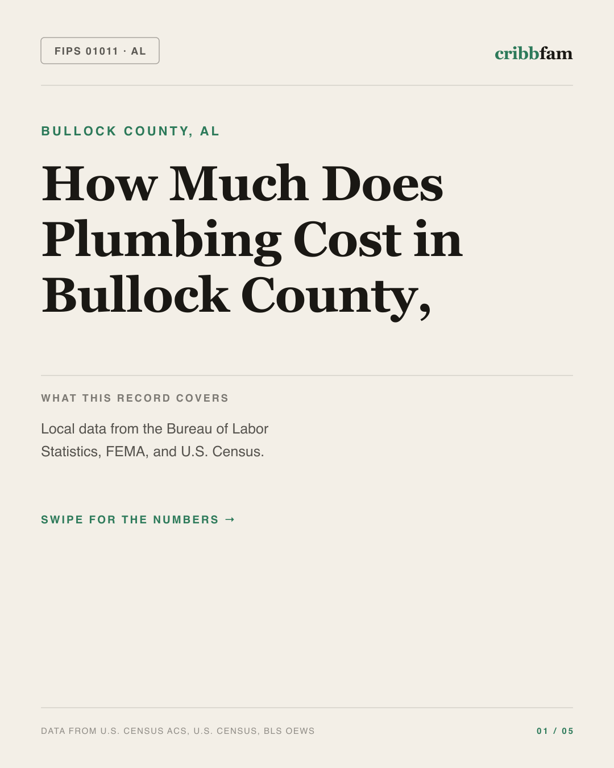 Plumbing in Bullock County, AL — regional cost snapshot