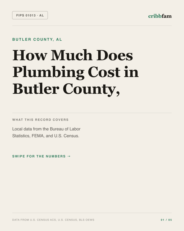 Plumbing in Butler County, AL — regional cost snapshot