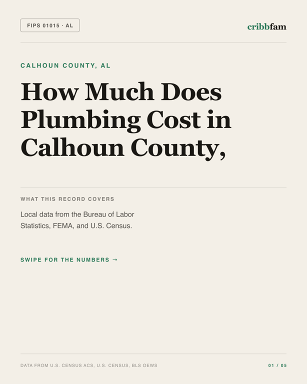 Plumbing in Calhoun County, AL — regional cost snapshot
